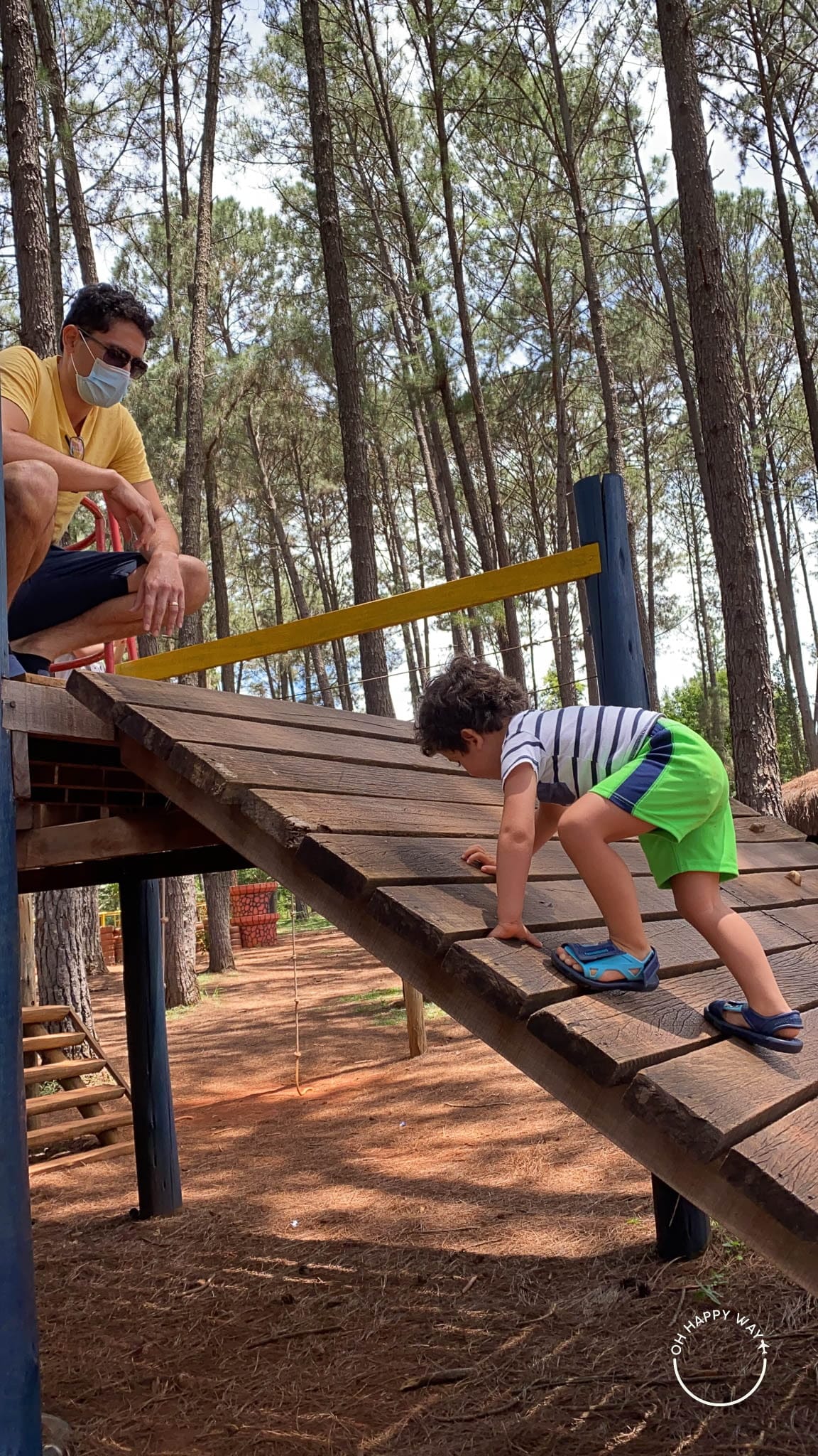 Parque Sof Sul: Um Refúgio Tranquilo com Áreas de Recreação Seguras - inspiração 2