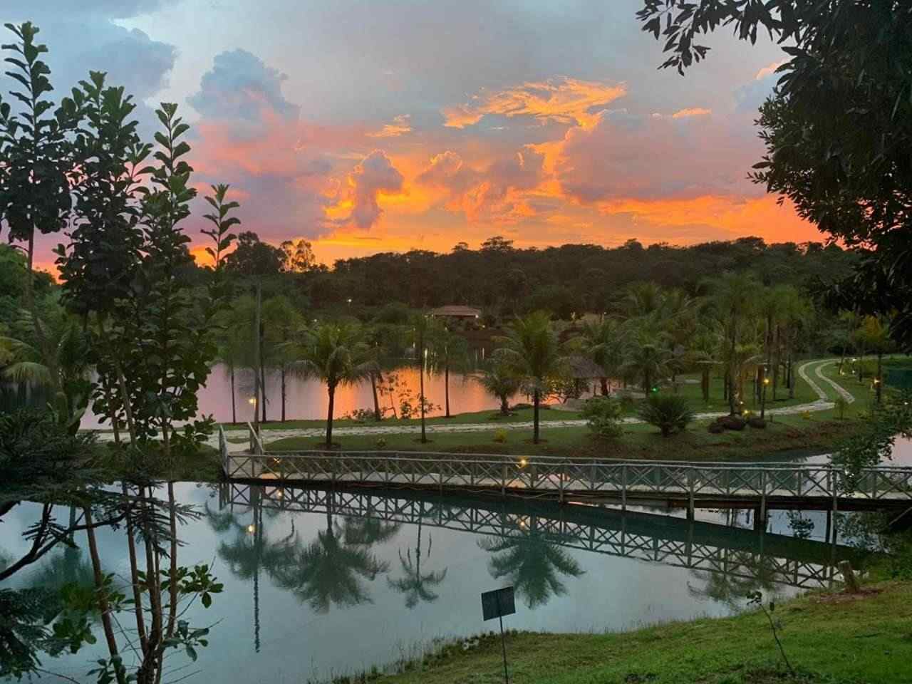 Parques e Áreas Verdes: Lazer ao Ar Livre e Paqueras Casuais - inspiração 1