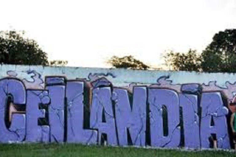 Tradição em Movimento: Feiras Livres e Artesanato - inspiração 2