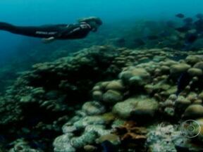 Superando o Medo e a Pressão Psicológica de Ficar Submerso - inspiração 2