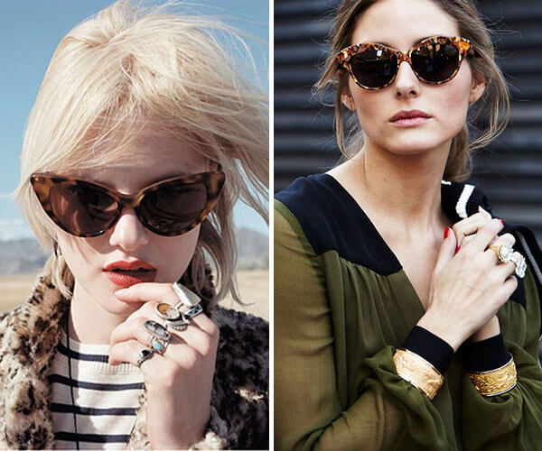 A Ocasião Certa para o Seu Gatinho - inspiração 2