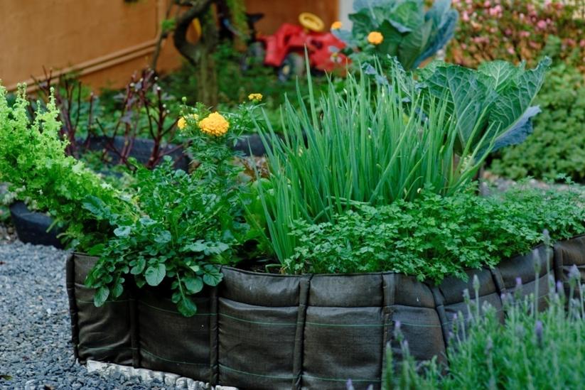 Escolhendo o Saco de Tecido Perfeito para Sua Horta - inspiração 1