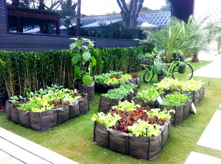 A Base do Sucesso: Preparando o Substrato Ideal - inspiração 1