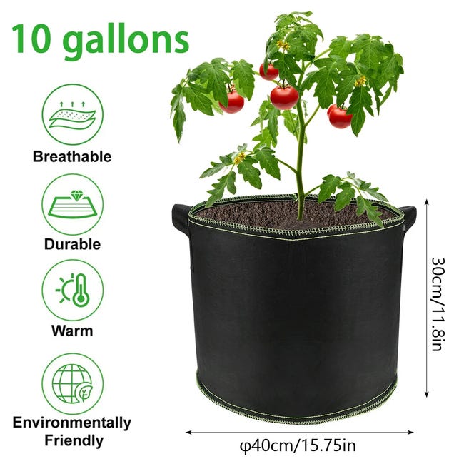 Onde Colocar Sua Horta de Tecido: Luz Solar é Crucial - inspiração 2