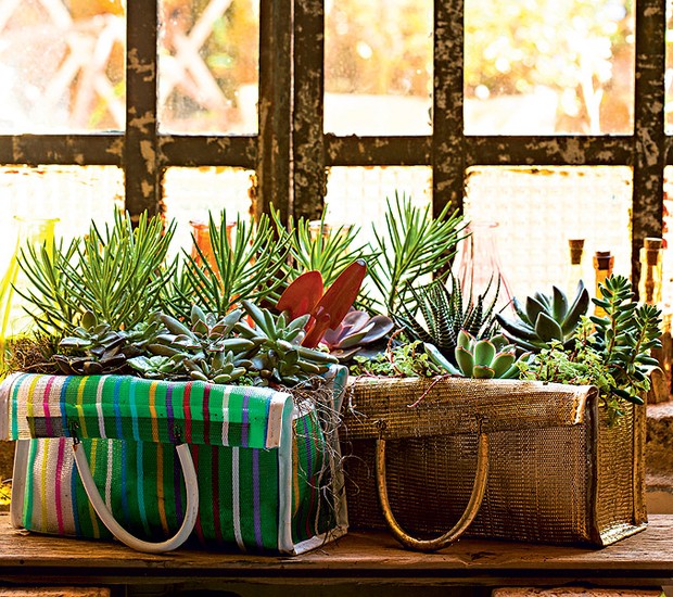 Rega na Medida Certa: Evitando Erros Comuns - inspiração 1