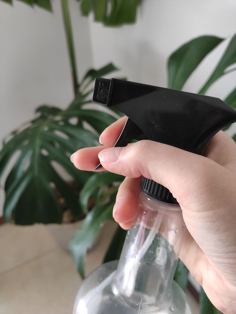 O alho: um poderoso repelente natural - inspiração 1