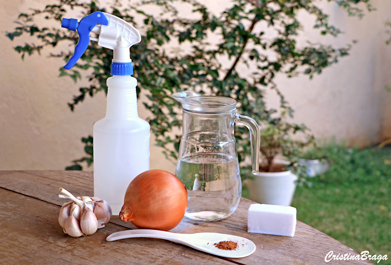 Como aplicar seu inseticida caseiro de forma segura e eficiente - inspiração 2