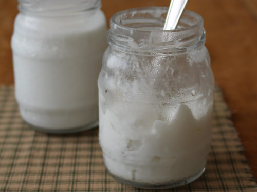 Escolhendo o Leite de Coco Ideal: A Base do Seu Iogurte - inspiração 1