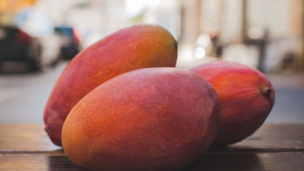 Proteção e Aconchego: O Ambiente Ideal Para Crescer - inspiração 2