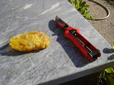 O Momento da Verdade: Identificando os Primeiros Sinais de Vida - inspiração 2