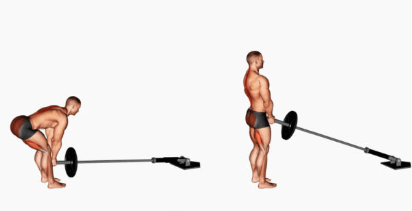 Respirando Certo: A Importância da Oxigenação no Movimento - inspiração 1