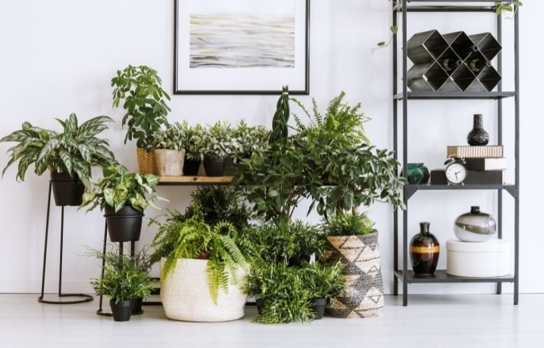 Criando a Base e os Pontos de Apoio: Segurança para Seus Vasos - inspiração 2