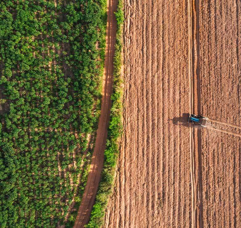 Após a Desapropriação: O Que Acontece com a Terra e o Proprietário - inspiração 1