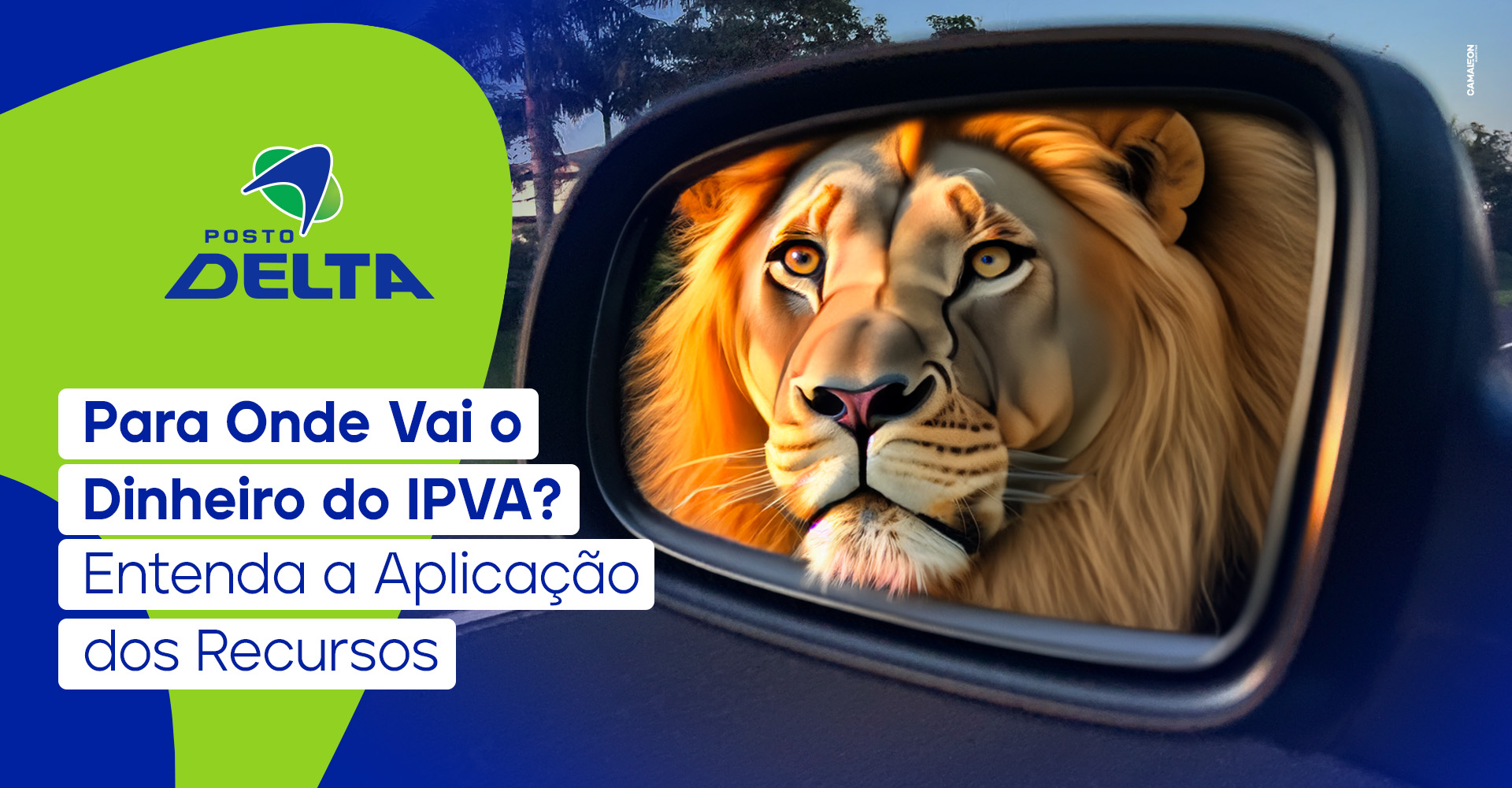 IPVA em outros estados: Entenda as diferenças e regras regionais - inspiração 2