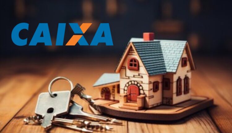 Habilitando-se para Dar Lances: Documentação Necessária - inspiração 1