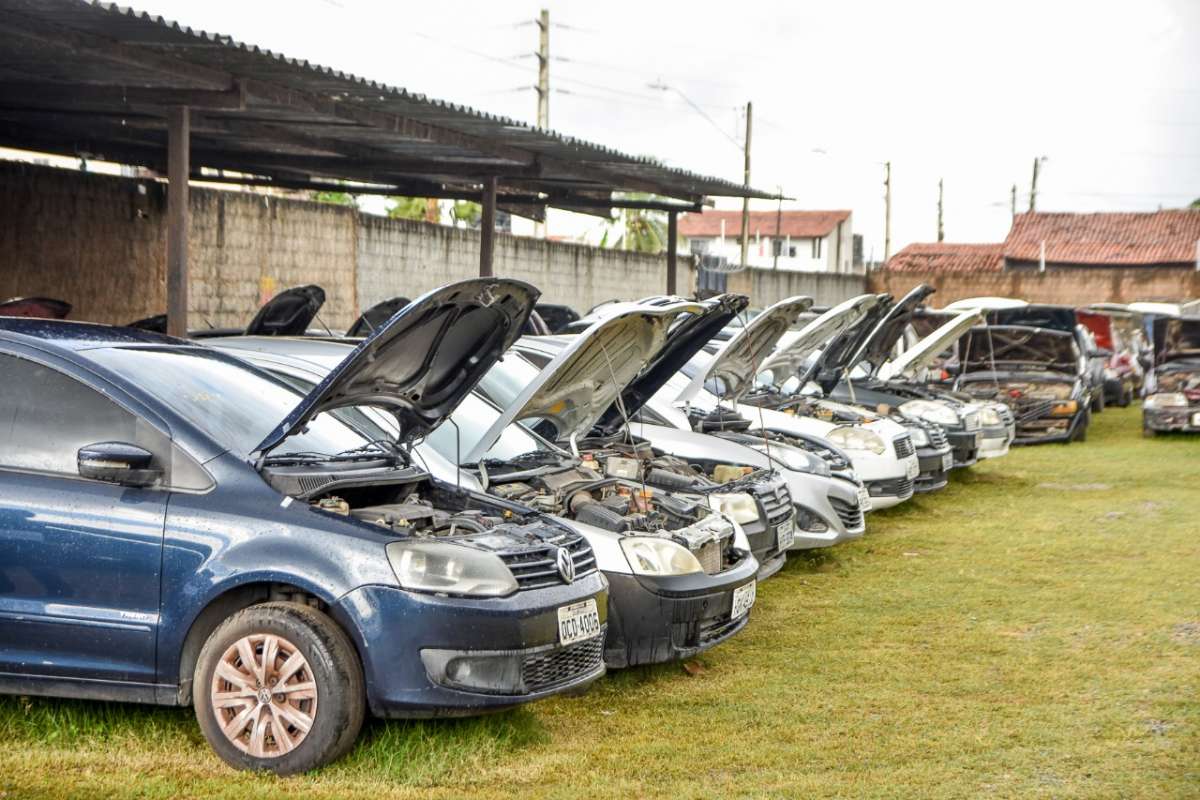 Requisitos Essenciais para Participar: Documentação e Habilitação - inspiração 2