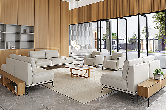 A Defineção Clara: O Que Realmente Significa Lobby? - inspiração 1