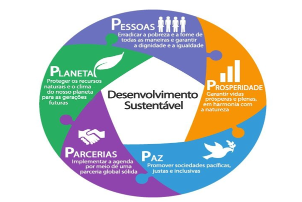 Diversificando seu portfólio com foco em sustentabilidade: Dicas práticas - inspiração 1