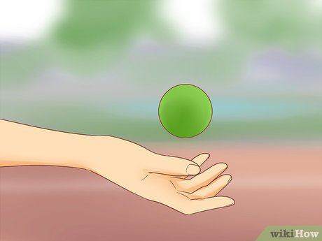 A Adaptação Visual: Treinando Seus Olhos Para Captar Cada Movimento - inspiração 1