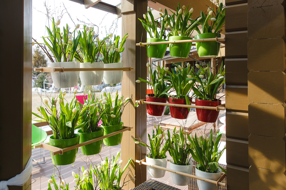 O sistema de drenagem que evita problemas com as raízes - inspiração 1