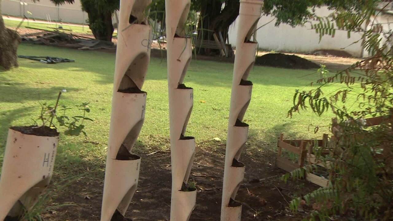 O sistema de drenagem que evita problemas com as raízes - inspiração 2