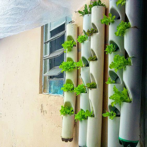 Escolhendo o substrato ideal para o cultivo vertical - inspiração 1