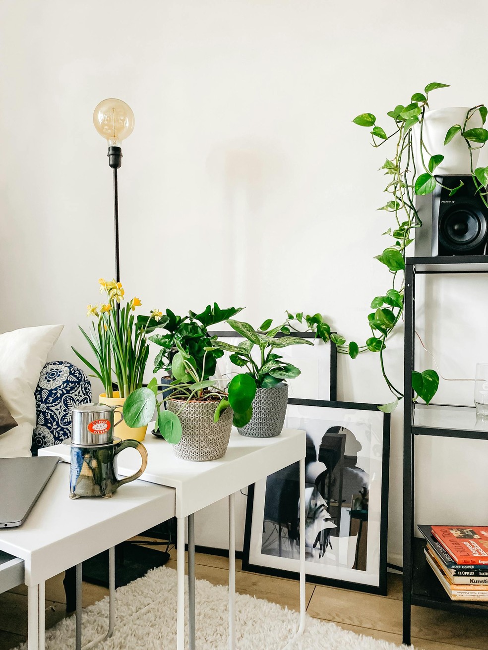 Rotina de Manutenção: Pequenos Hábitos Que Sustentam a Ordem - inspiração 1