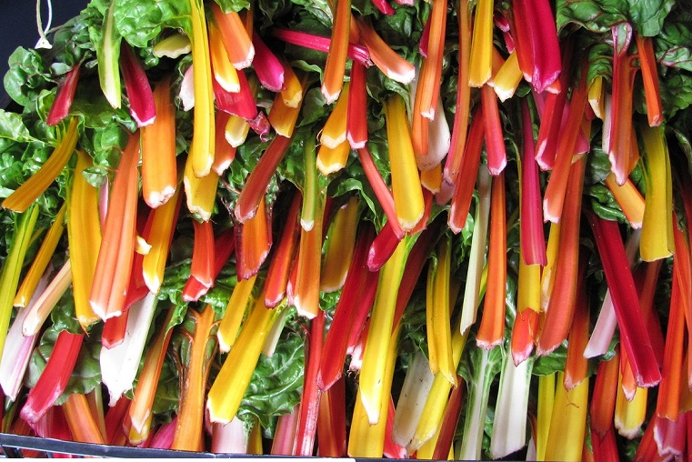 Escolhendo as Sementes Certas para o Seu Clima - inspiração 1