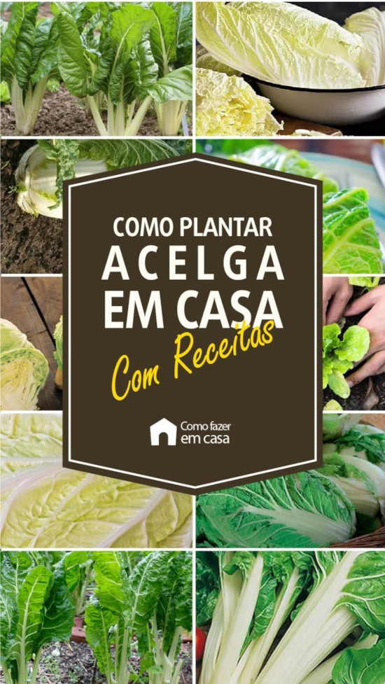 O Preparo Ideal do Solo: O Segredo do Sucesso - inspiração 1