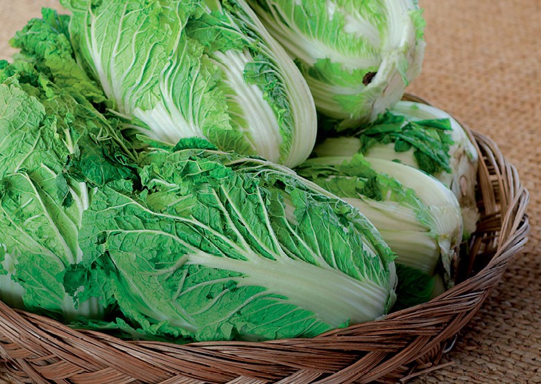 O Preparo Ideal do Solo: O Segredo do Sucesso - inspiração 2