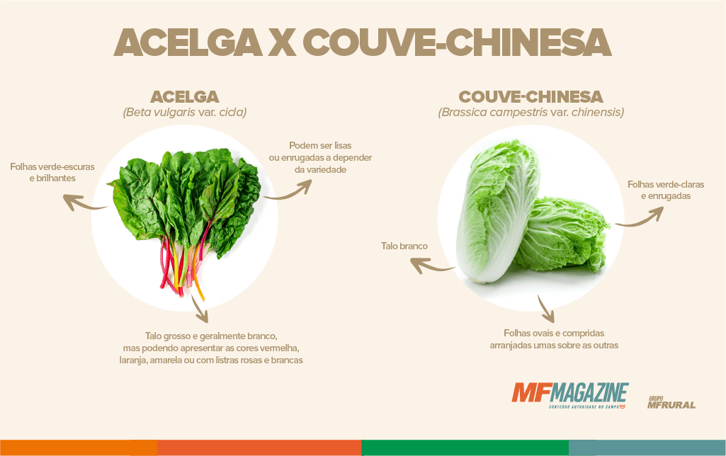 Rega: Frequência e Quantidade para Raízes Saudáveis - inspiração 2