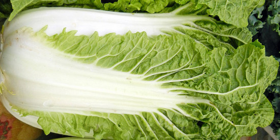 Controle de Pragas e Doenças de Forma Natural - inspiração 2