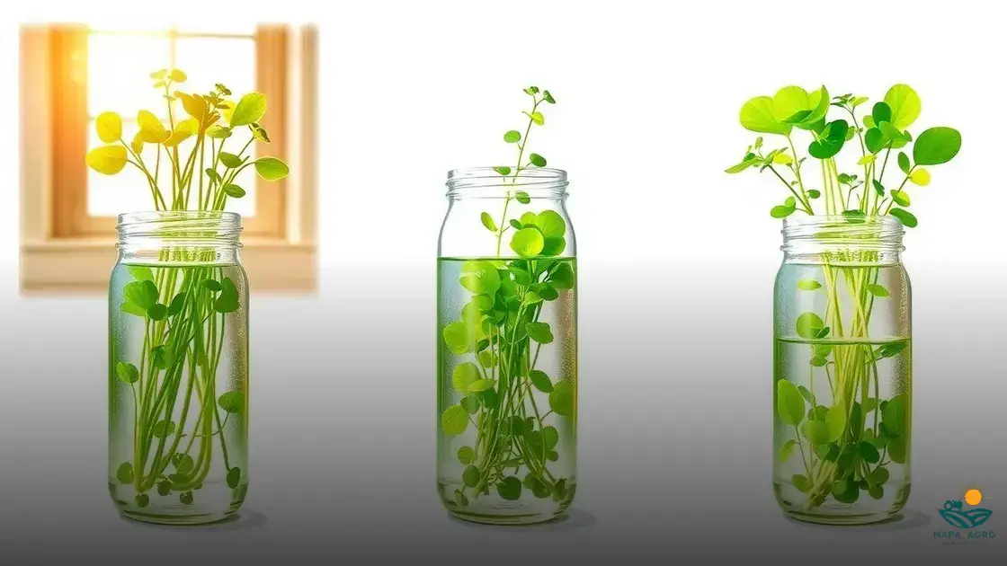 Substrato Perfeito: Nutrição e Drenagem em Harmonia - inspiração 2