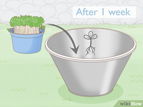 Cuidados e Manutenção: Pequenas Atenções para Grandes Resultados - inspiração 2