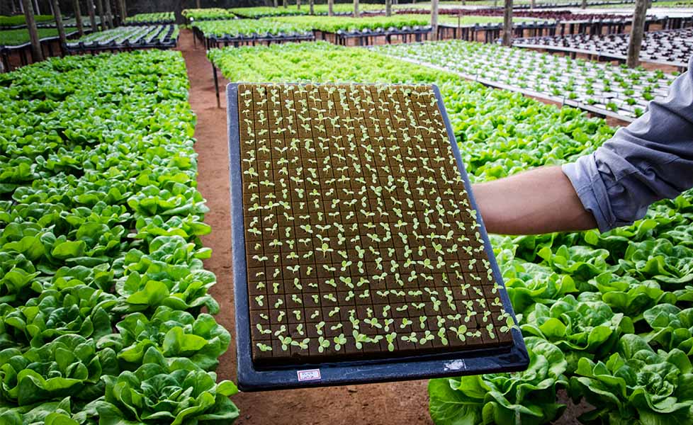 Reaproveitando e Expandindo: Dicas para Continuar - inspiração 1