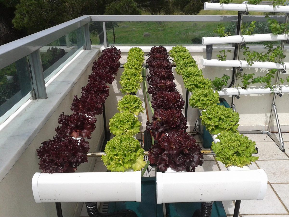 O Ambiente Ideal: Luz, Temperatura e Ventilação - inspiração 1