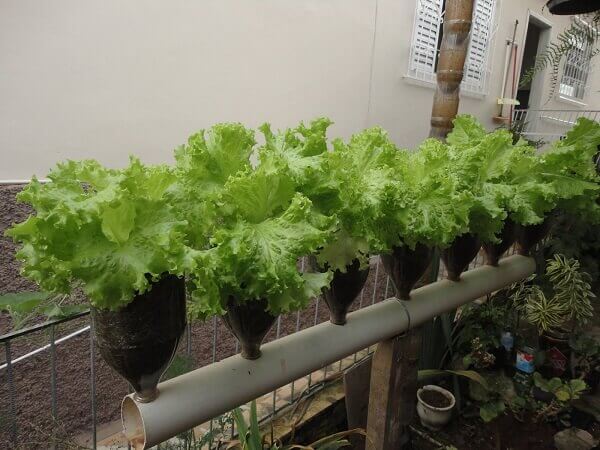 O Substrato Ideal: Nutrição e Aeração para Raízes Saudáveis - inspiração 1