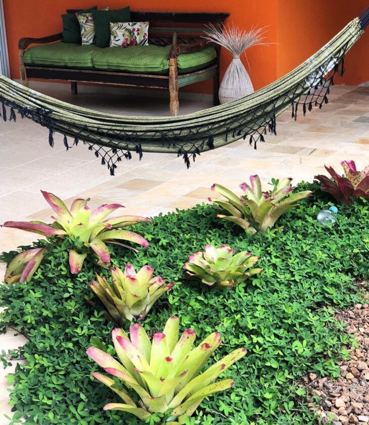 Escolhendo o Local Ideal: Sol é a Palavra-Chave - inspiração 1