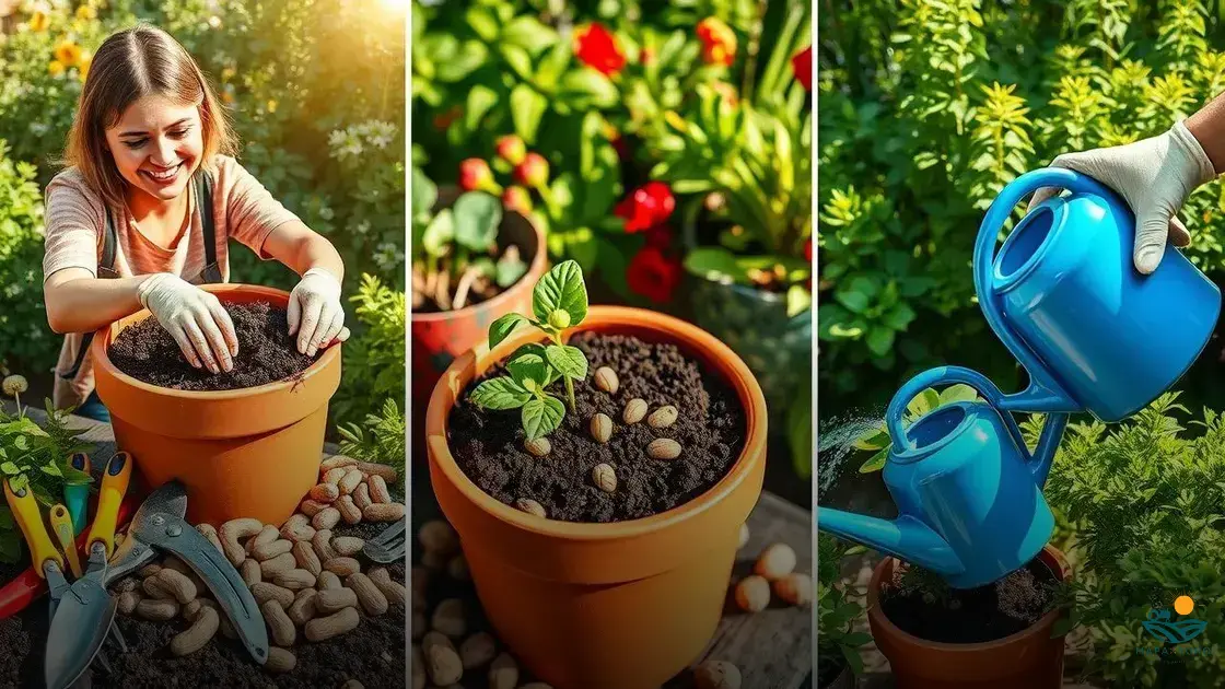 Seleção das Sementes: Variedades e Qualidade Importam - inspiração 2