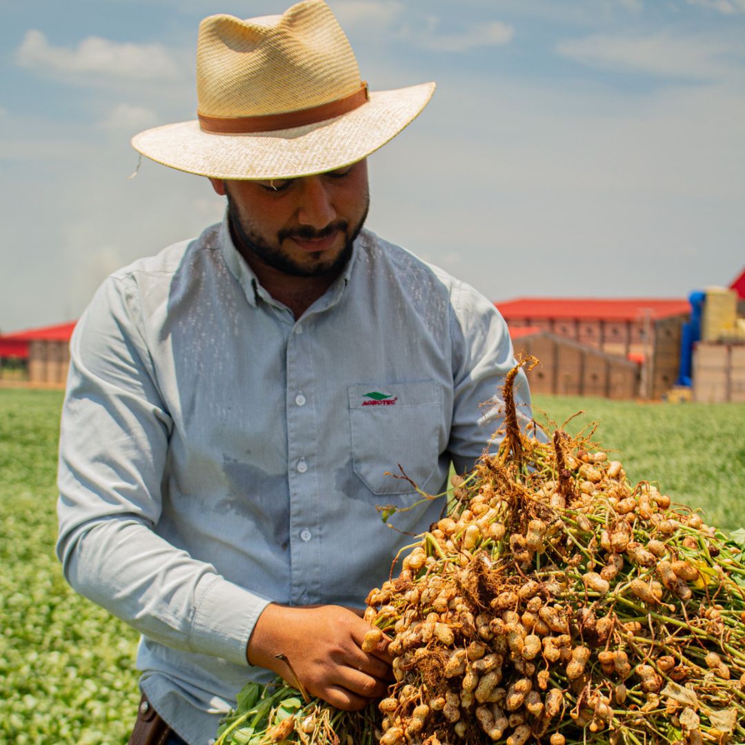 Técnicas de Plantio: Profundidade e Espaçamento Corretos - inspiração 2