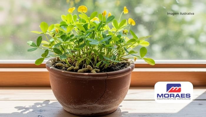 Adubação Estratégica: Alimento Essencial para o Crescimento - inspiração 1