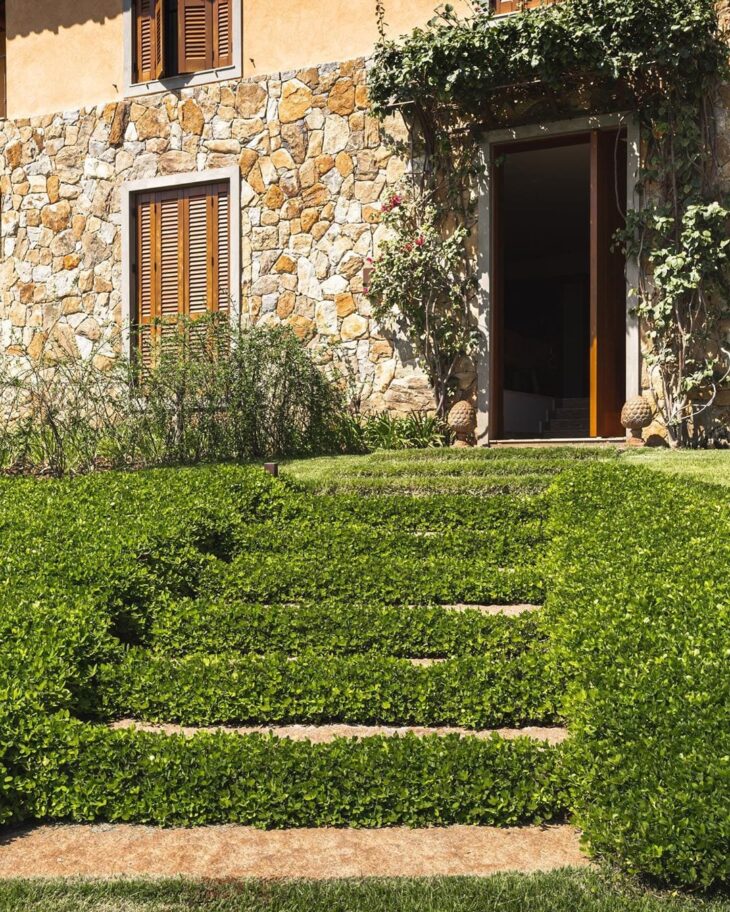 Manejo de Pragas e Doenças: Prevenção é o Melhor Remédio - inspiração 2