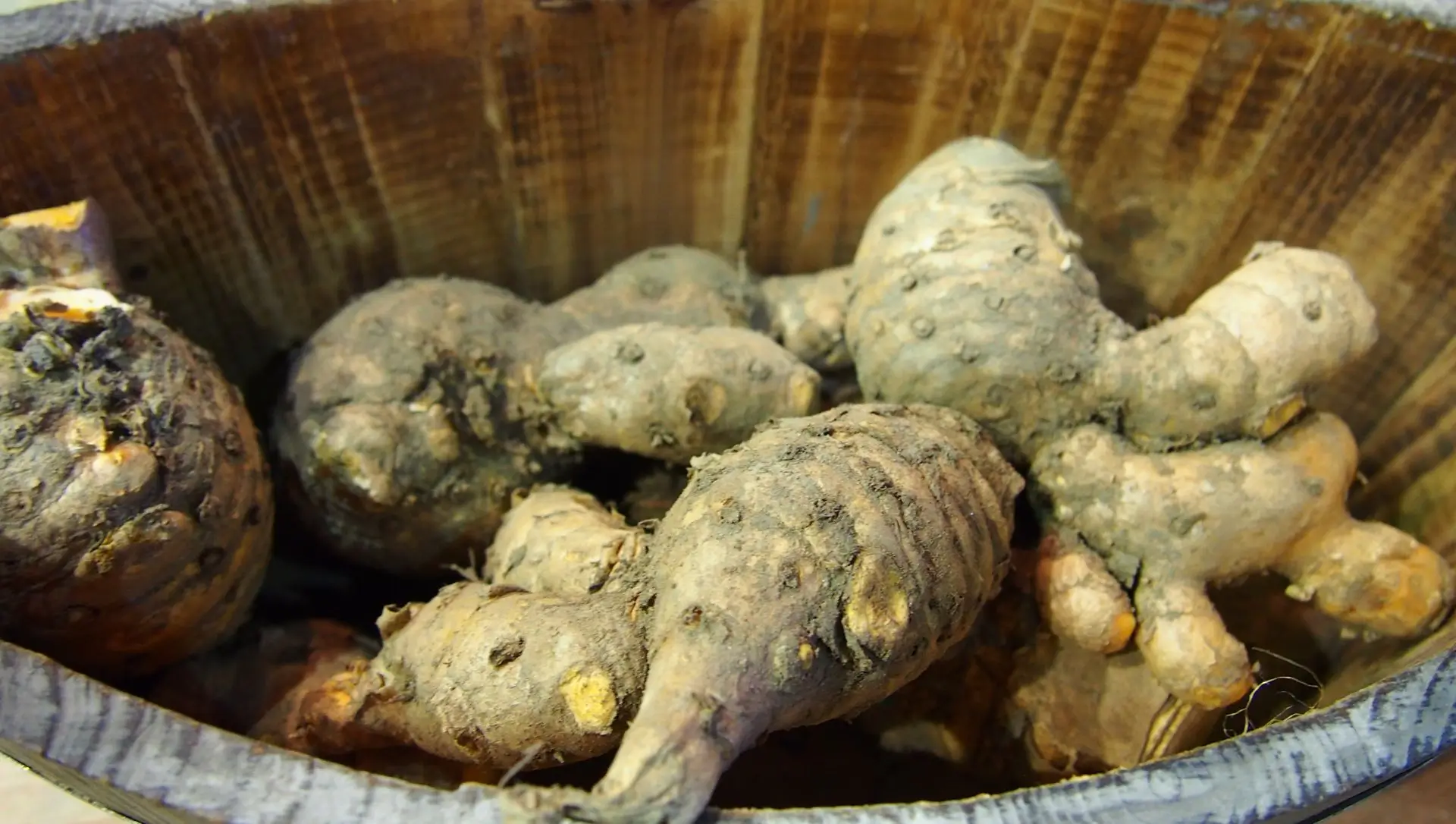 O Ciclo da Cultura: Sinais de que Está na Hora de Colher - inspiração 1