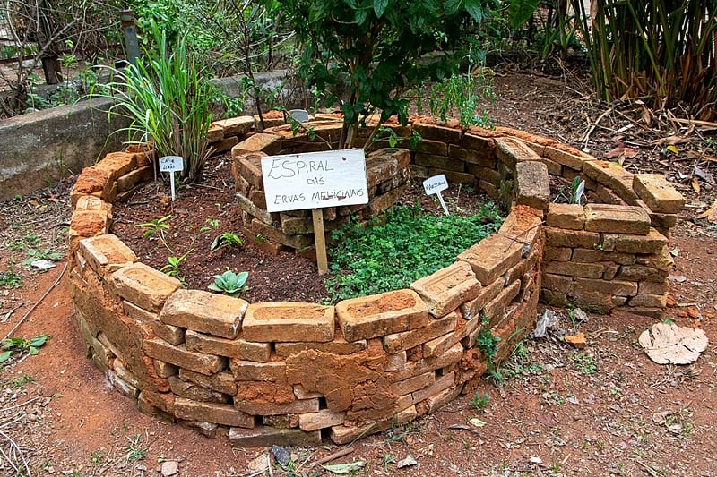 Escolhendo o Local Ideal para o Plantio - inspiração 2