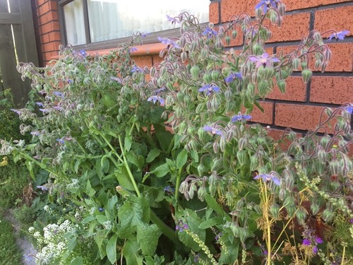 Dicas Extras Para um Rendimento Incrível - inspiração 1