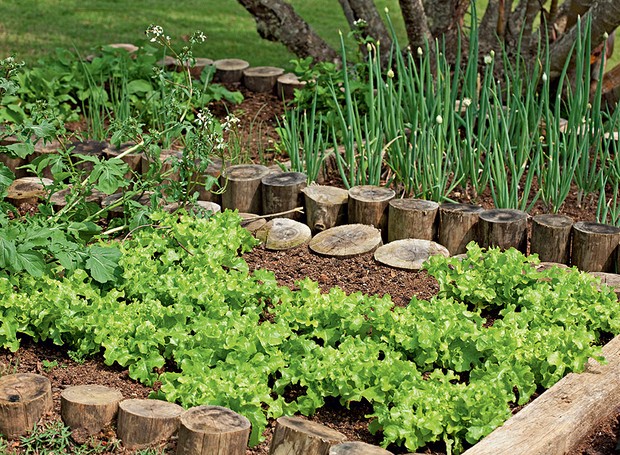 Adubação Inteligente para Nutrir Sua Planta - inspiração 2