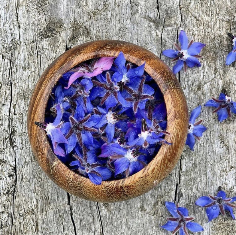 O Manejo Pós-Colheita: Secagem e Armazenamento - inspiração 1