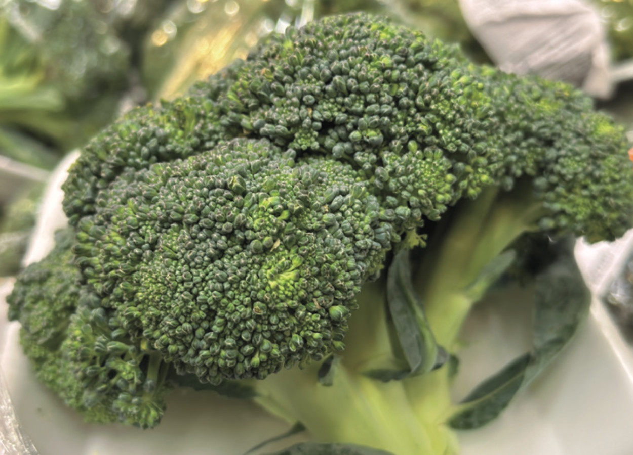 Poda e Cuidados Extras: Maximizando a Produção da Sua Horta - inspiração 2