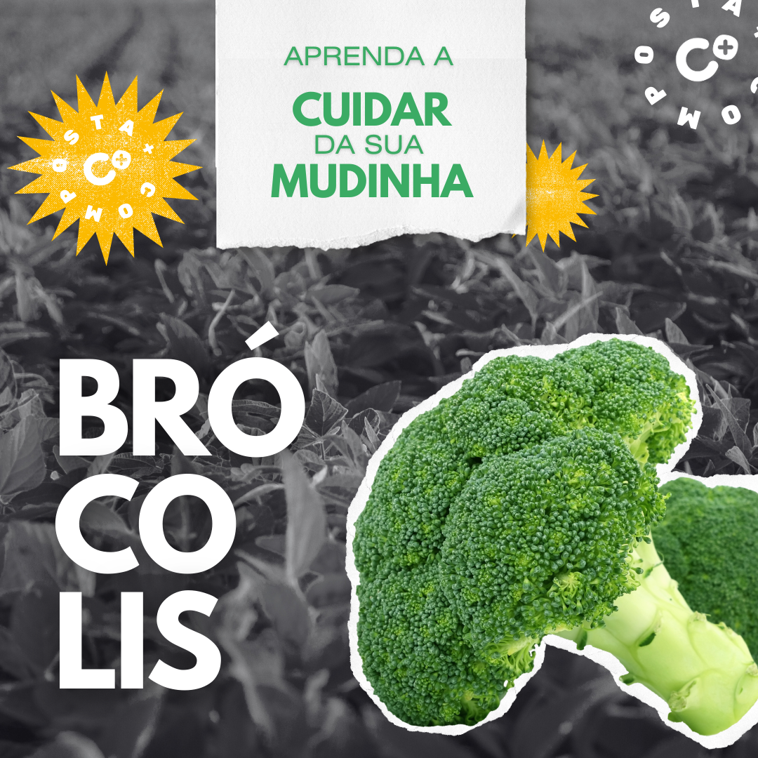 O Momento Certo da Colheita: Reconhecendo o Brócolis Maduro - inspiração 2