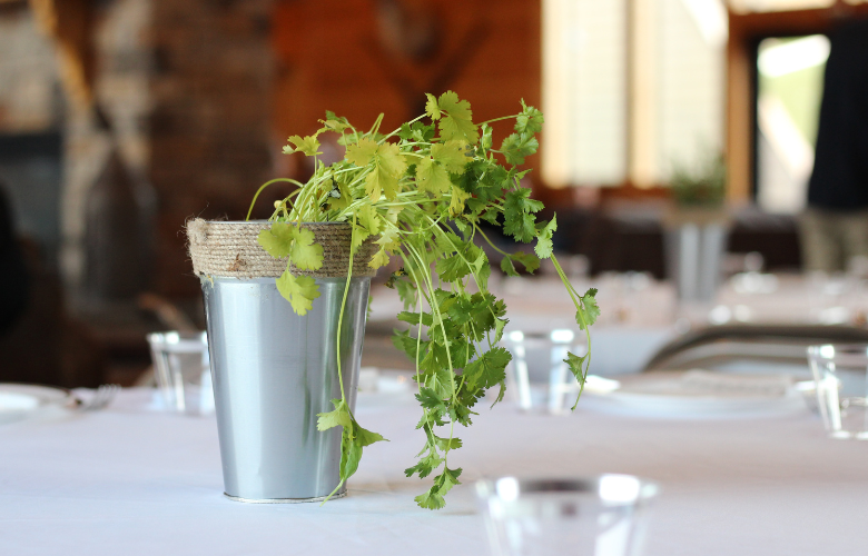 Pragas e Doenças: Identifique e Combata Rapidamente - inspiração 1